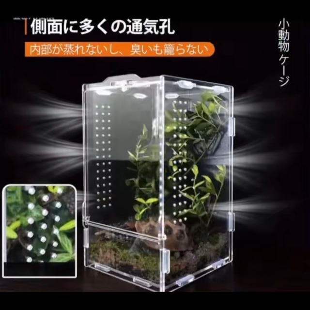 Amazon | Ahgwiu 爬虫類 シェルター レプタイル ボックス ヒョウモン