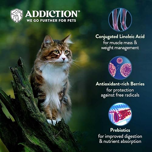 Miniatura 5 de Addiction Viva Venison - Alimento seco para gatos sin granos, receta con alto contenido de proteínas, hecha en Nueva Zelanda, 4 libras, 2 paquetes