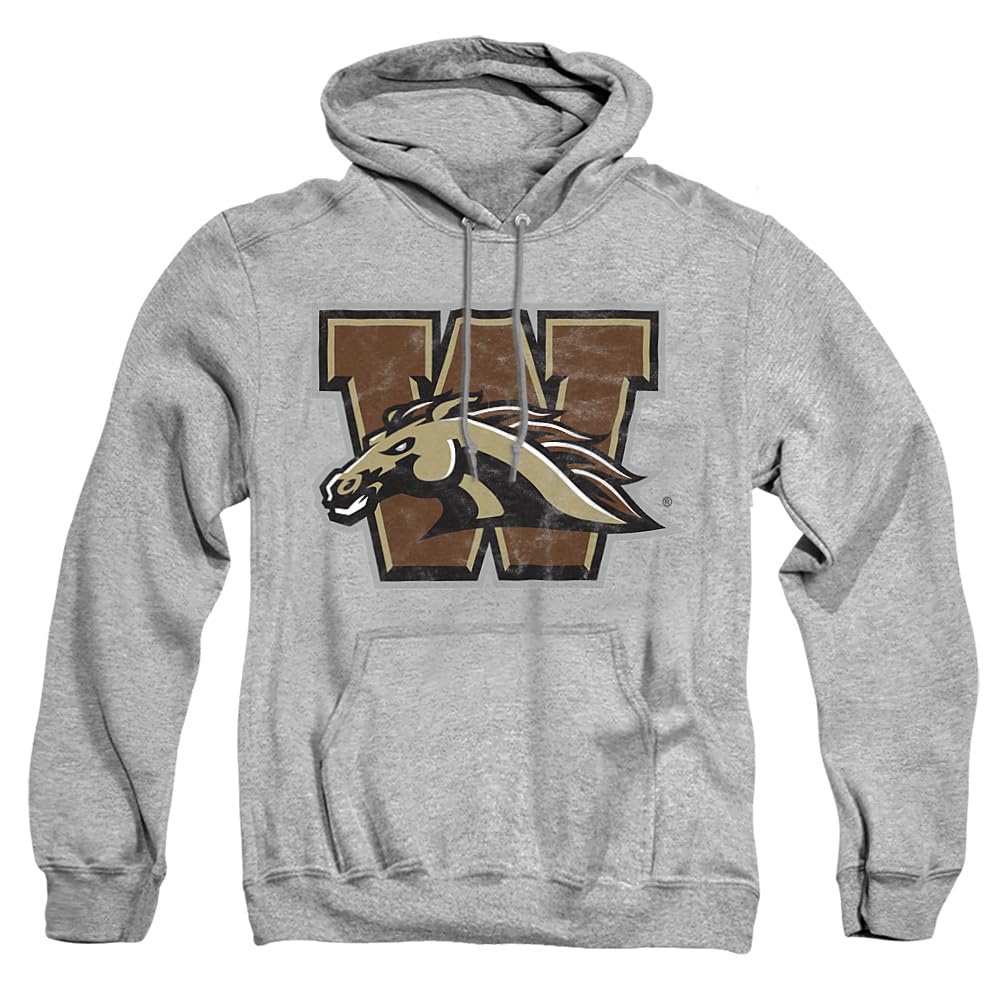 LOGOVISION Official Collegiate Distressed Primary Logo Adult Pullover Hoodie Collection — view 182