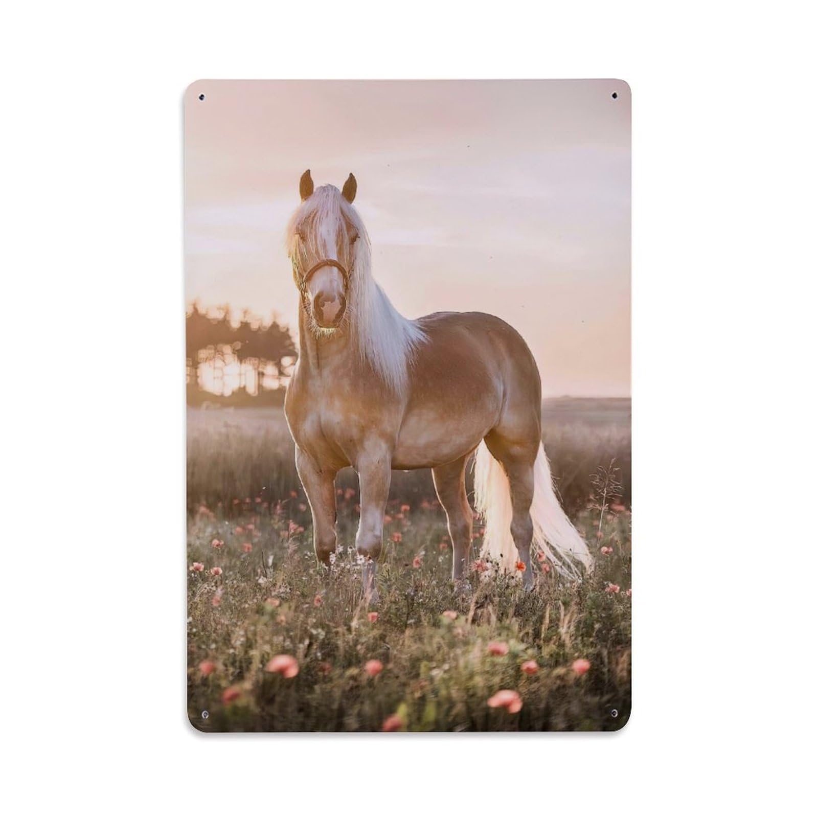 Botanical Sunset Wildlife Vintage Horse Poppy Field Design Metal Tin Sign Plaque Wall Decor for Cafe, Man Cave, Club Bar, Office, Home Garden Round Metal Poster 8x12Inch