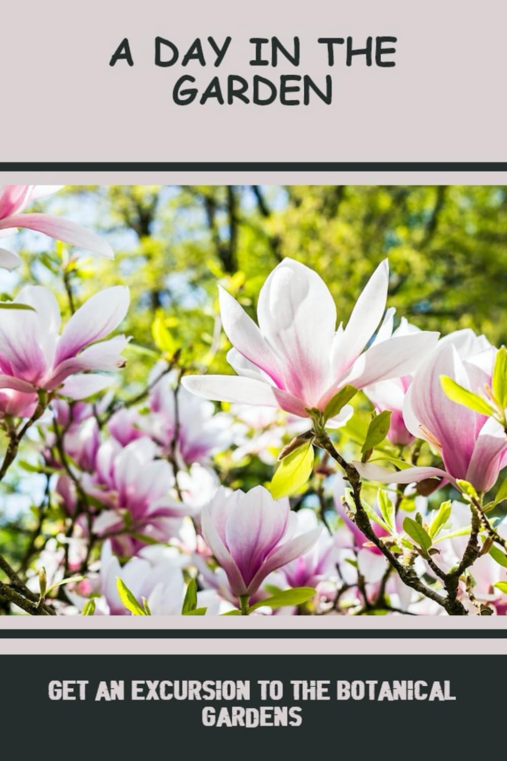 A Day In The Garden: Get An Excursion To The Botanical Gardens