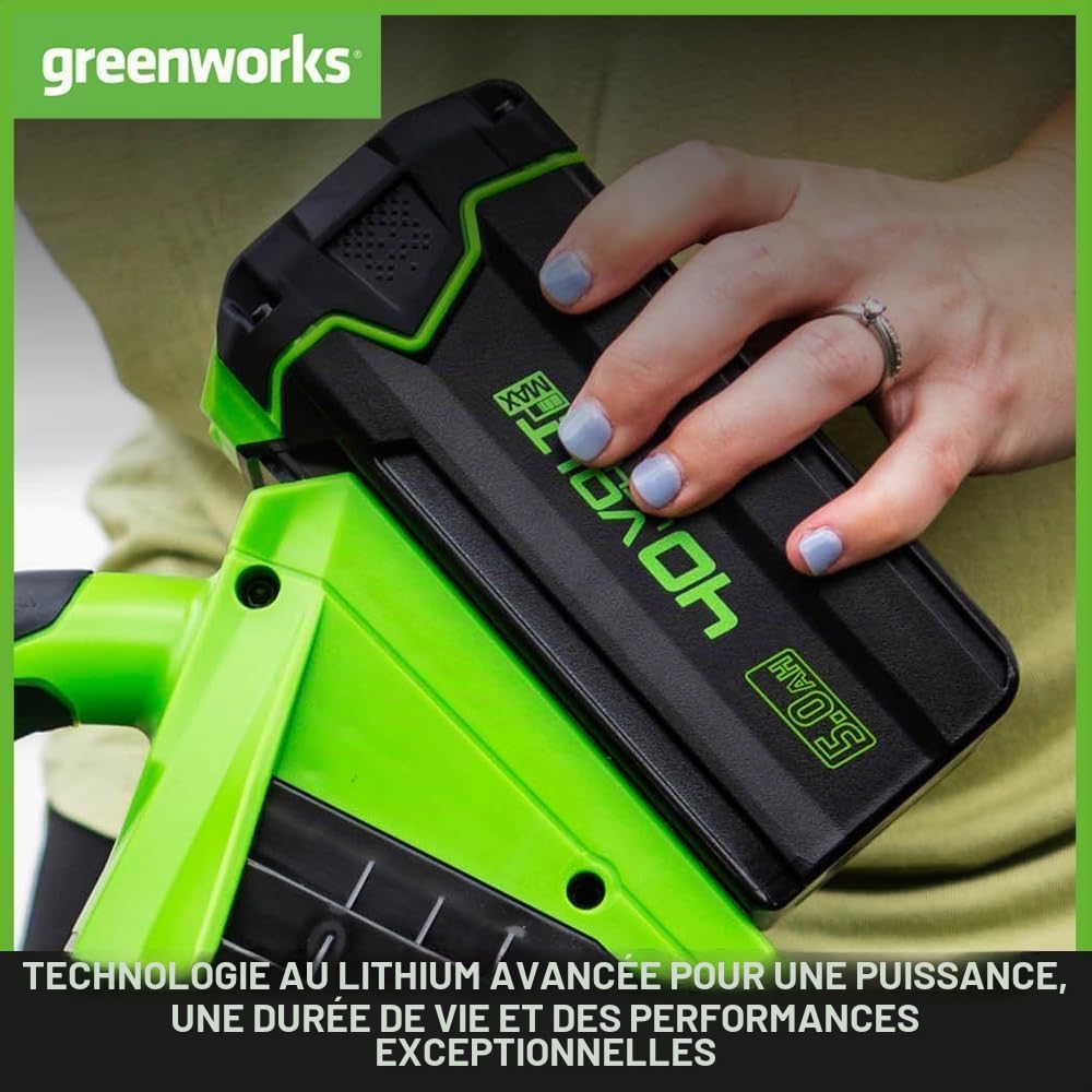Greenworks G40GC Chariot/brouette électrique autotractée 106L/100kg, basculement Facile, sans Batterie/Chargeur + Kit 40V 4Ah + Chargeur 2A GSK40B4 + Batterie 40V 5Ah G40B5