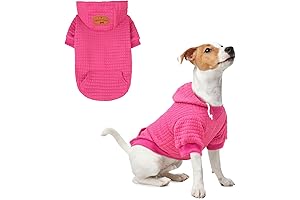 Large Dog Hoodies for Pitbulls: Warmth and Style for Your Beloved Companion