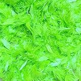 Cozy Glamour Solid Boas 6 Foot Long 50 Gram Great for Parties, Crafts, and Fun! (Lime Green)