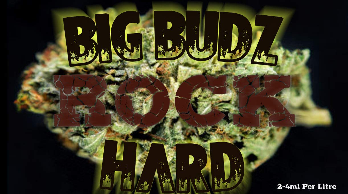 Big Budz ROCK HARD 250ML