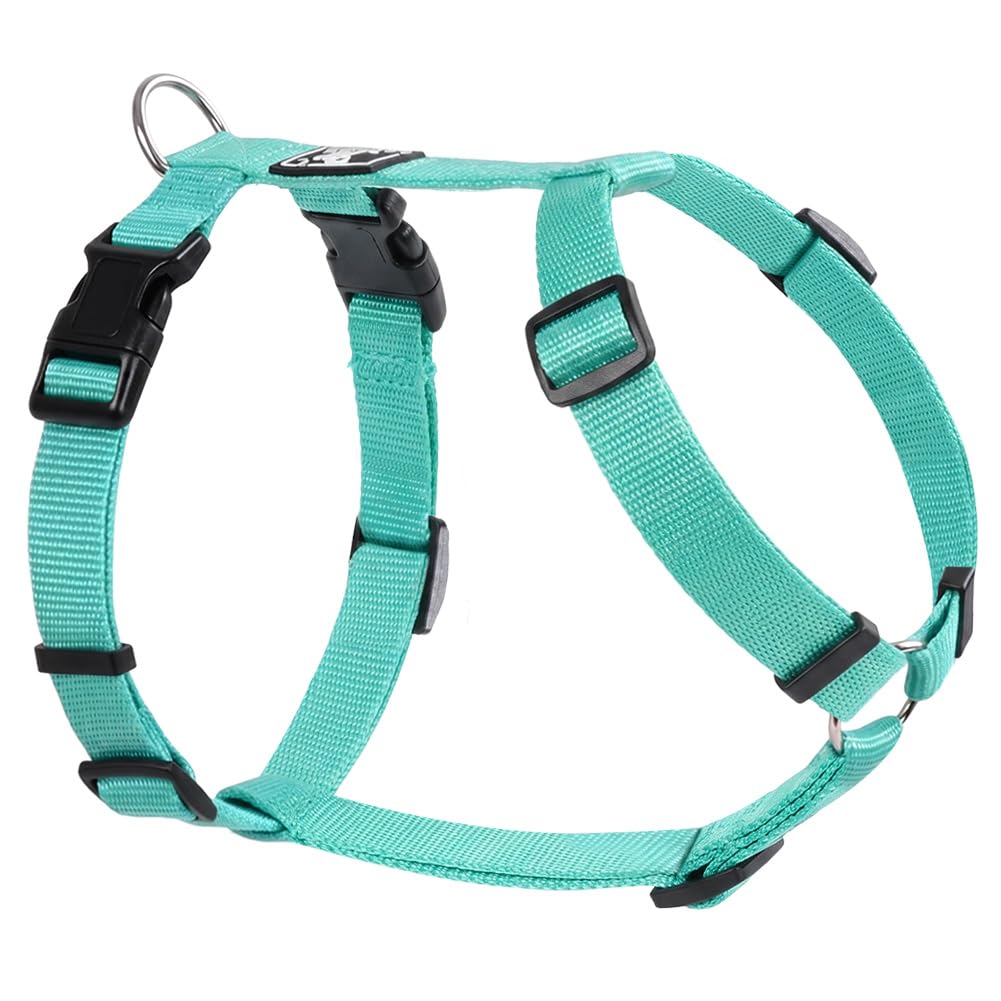 Aolso Arnés para Perros, Diseño de Pecho y Espalda, Antitirones Totalmente Ajustable, Arnés Básico y Confortable para Perros Pequeños y Medianos (1.5cm - Azul Lago/S-M)