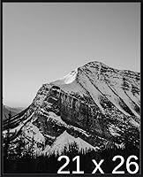 Vista 273 de Frame It Easy Marco de metal rojo de 24 x 36 pulgadas (Hanover)