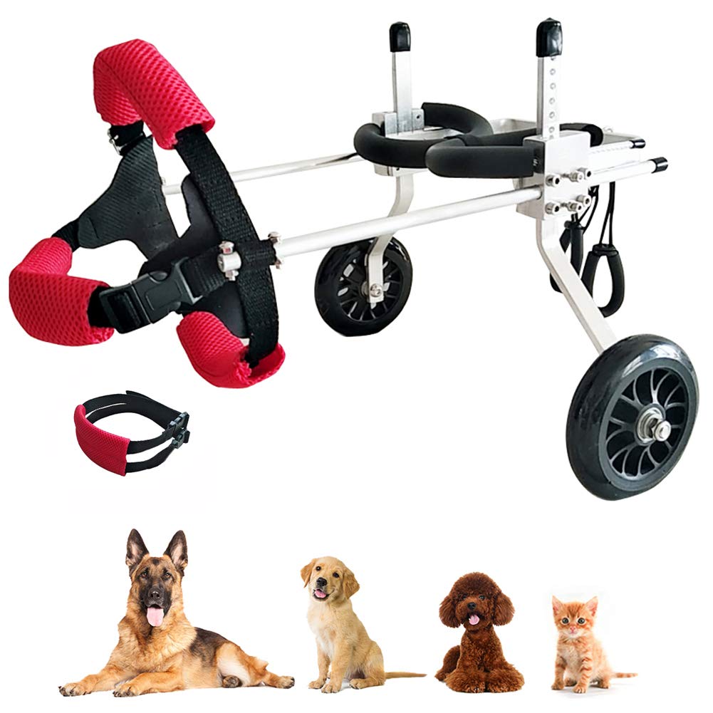 Cocoarm Hunderollstuhl Hinterbeine - Verstellbarer Mobilitätswagen