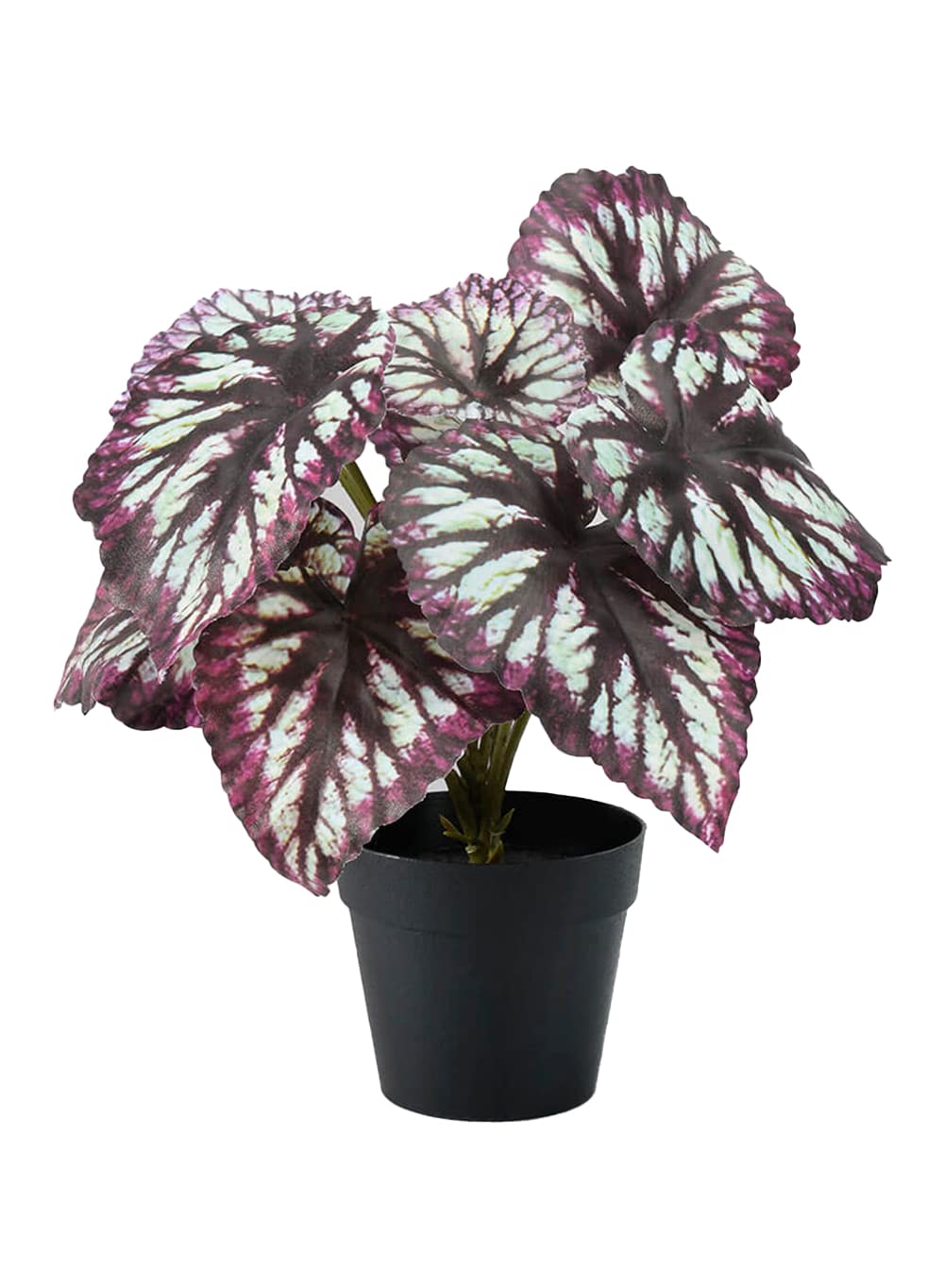 Serene Spaces Living Artificial Begonia Cathayana in Classic Black Pot, Potted Silk Floor Plant for Home, Decorative Foliage for Bedroom, Living Room, Office, Kitchen, Measures 8