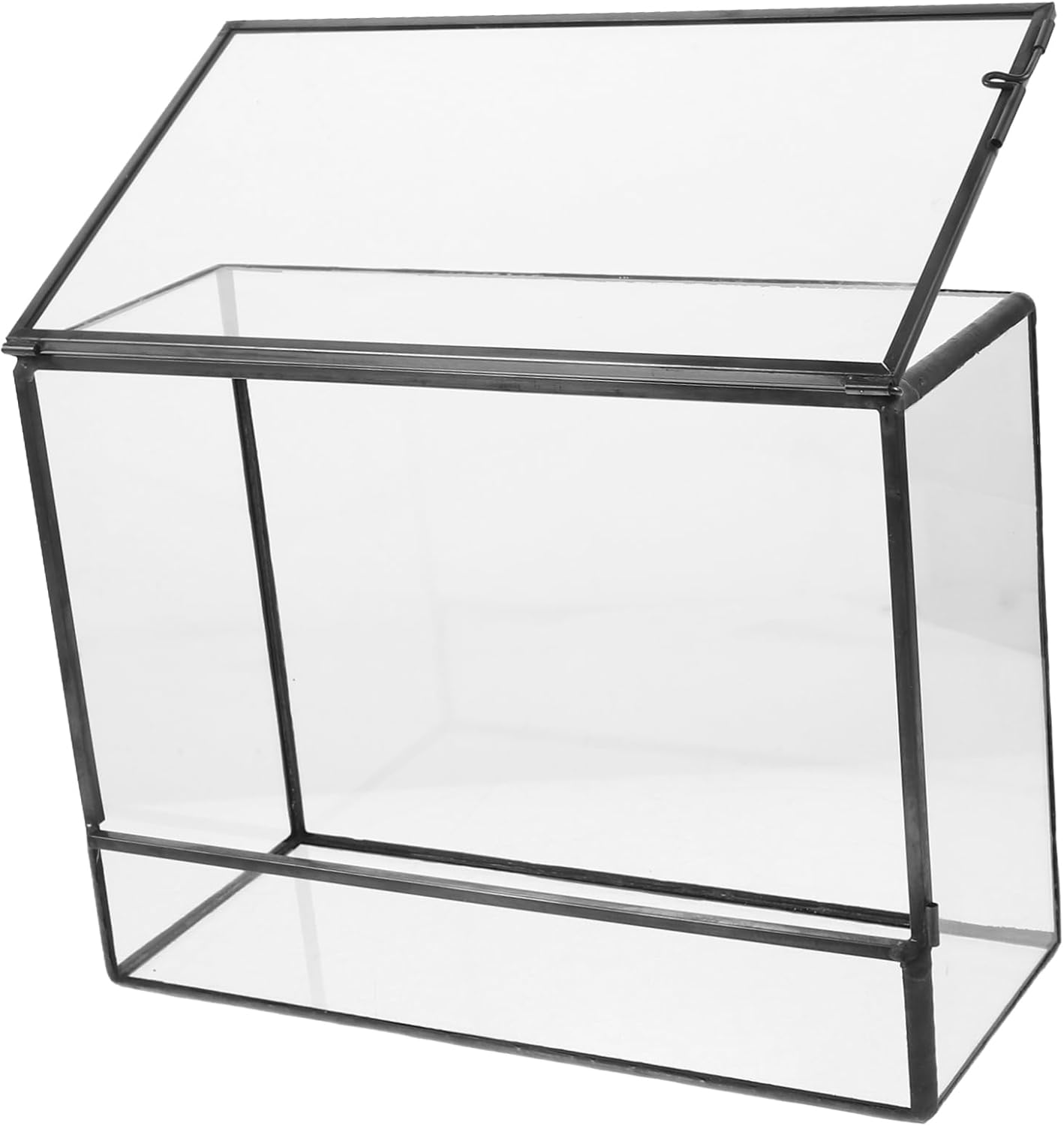 BESPORTBLE Glass Terrarium Planter Miniature Tabletop Ecosystem Holder for Succulents Moss Air Plants Durable Handmade Design