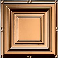 Vista 13 de FASÄDE Panel de techo decorativo de vinilo para retrato en blanco mate (muestra de 12 x 12 pulgadas)