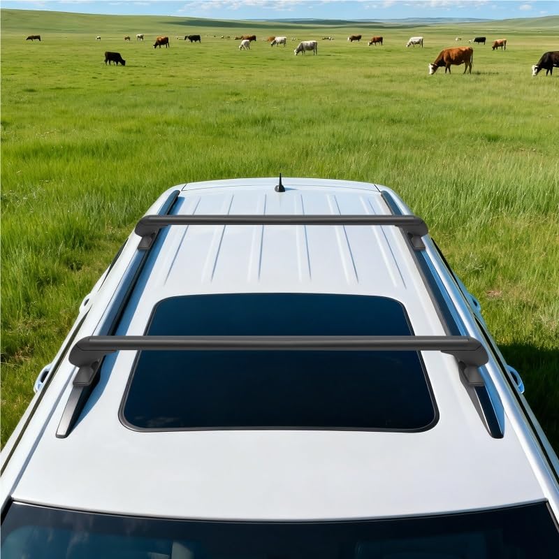 Baca de techo portaequipajes universal barra transversal coche 39 pulgadas con llave 3