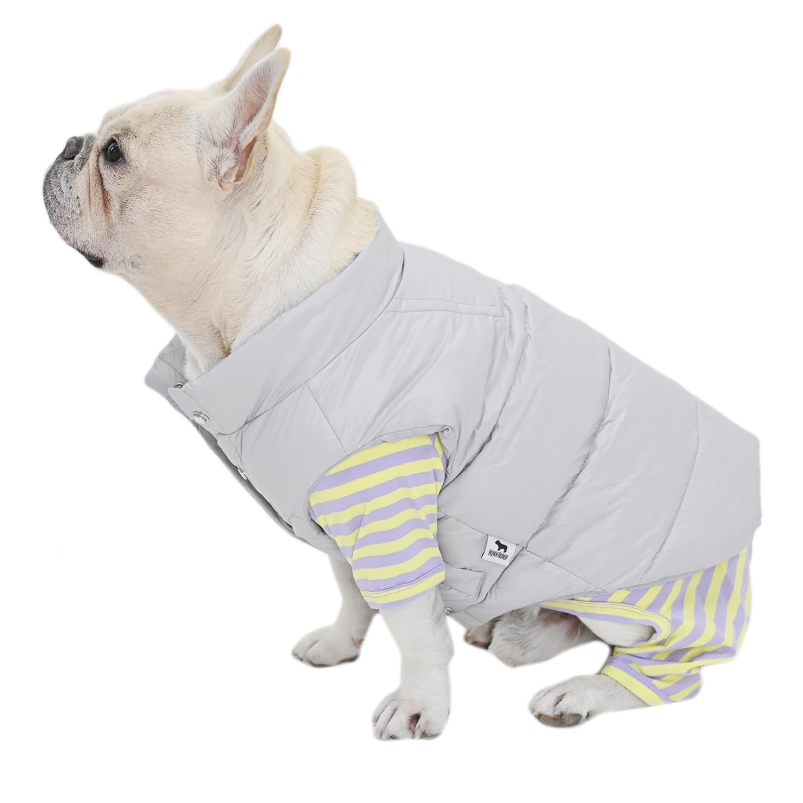 Amazon | [FRENCH FRENCH] 犬 フレブル 犬服 ダウンジャケット 軽量