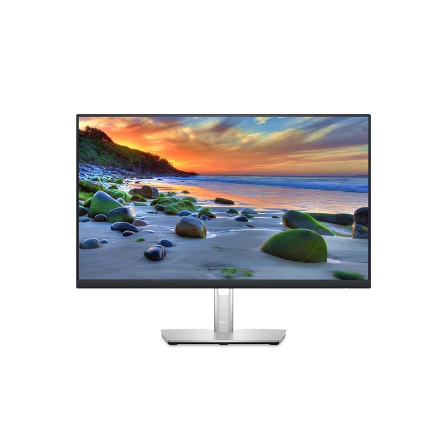 Monitor Dell P2421D 23.8
