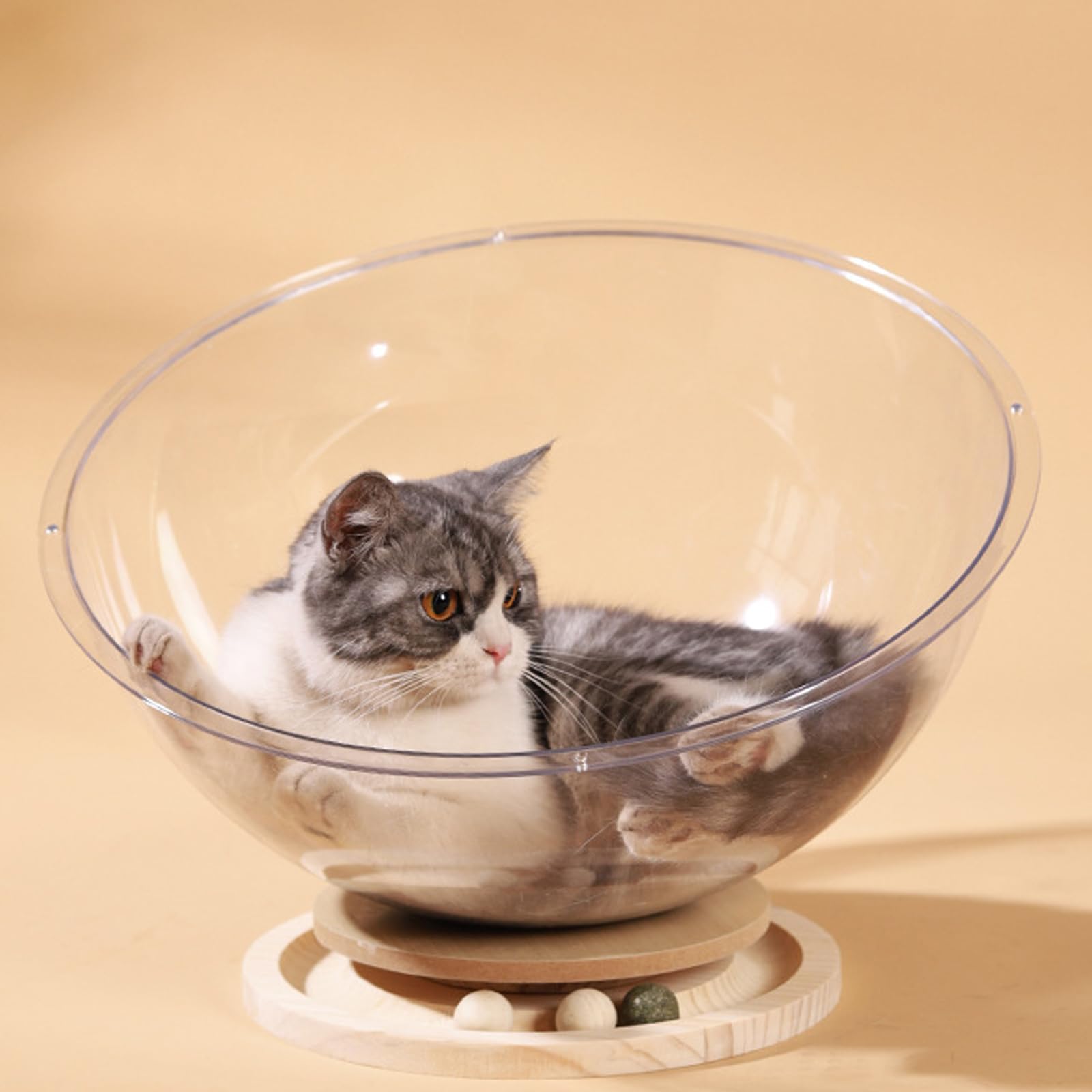 Gatos juguete durabilidad juego universal espacio cabaña cama para felinos activos transparentes