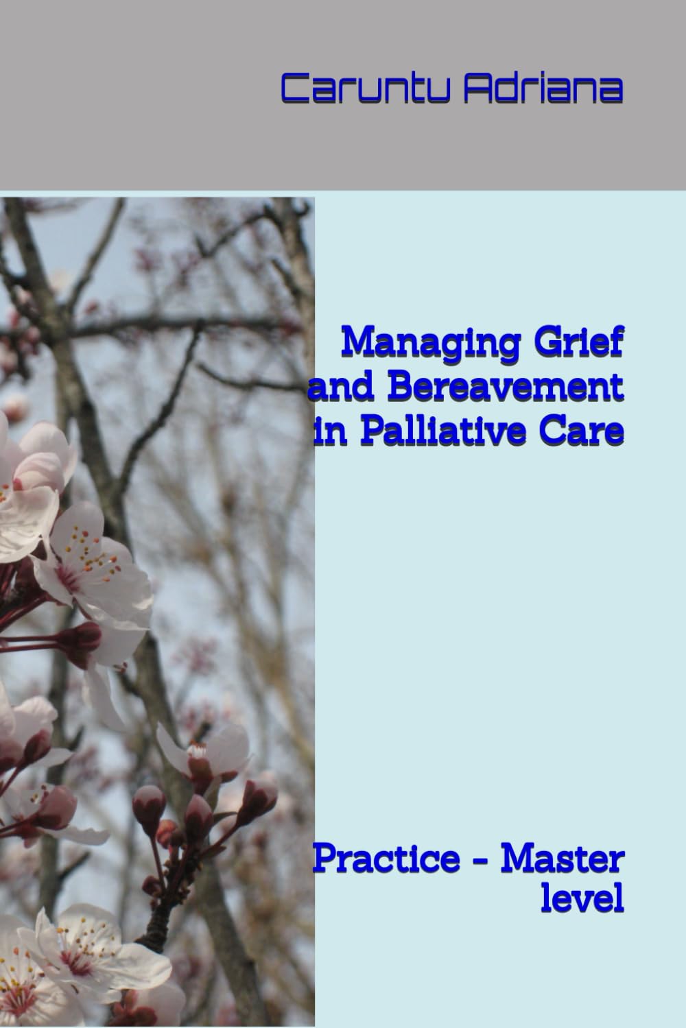 Managing Grief and Bereavement in Palliative Care: Practice - Master level