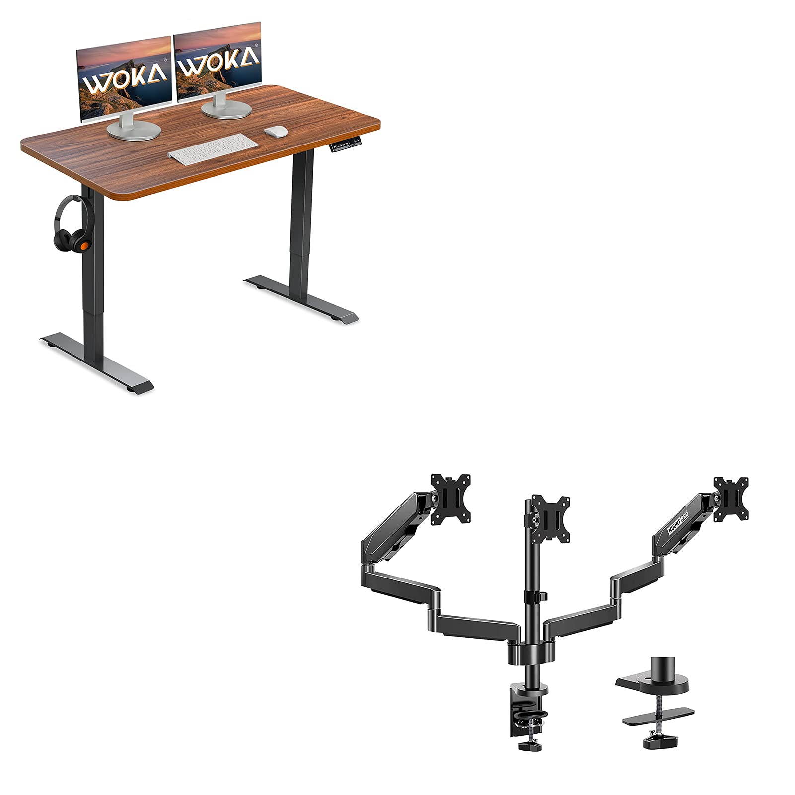 Buy WOKA Dual Motor Standing Desk, 48 x 24 Inches Adjustable Height