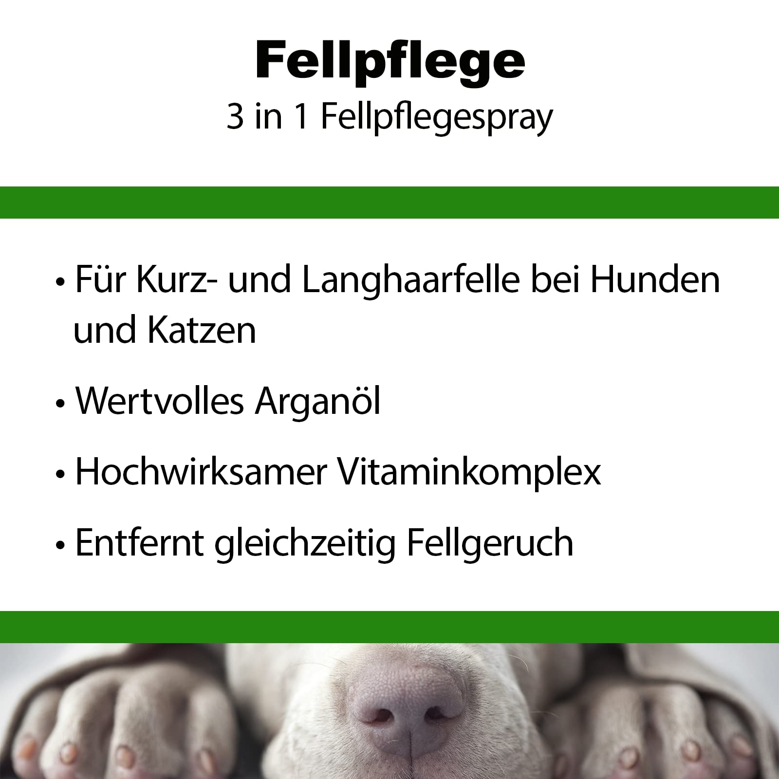 BactoDes Ready Fellpflegespray 6 x 200ml I 3in1 Pflege für Hunde & Katzen mit Mikroorganismen I Glänzendes Fell, gesunde Haut & natürliche Geruchsneutralisierung I Ideal bei empfindlicher Haut