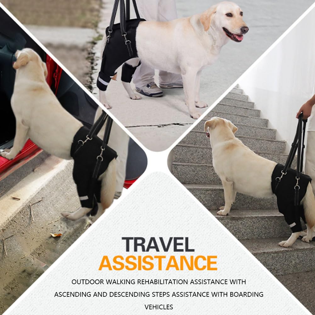 Silla De Ruedas para Perros con Arnés De Soporte Trasero, Resorte con Memoria, Ayuda para La Movilidad, Ajustable Y Reflectante, para Perros Mayores con Displasia De Cadera, Colour L