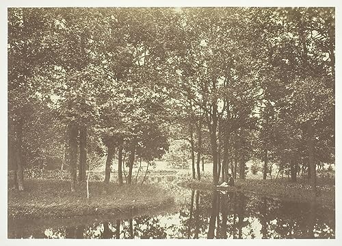 Impression d'art Trees Near Water Charles Marville toile haut de gamme 60x90