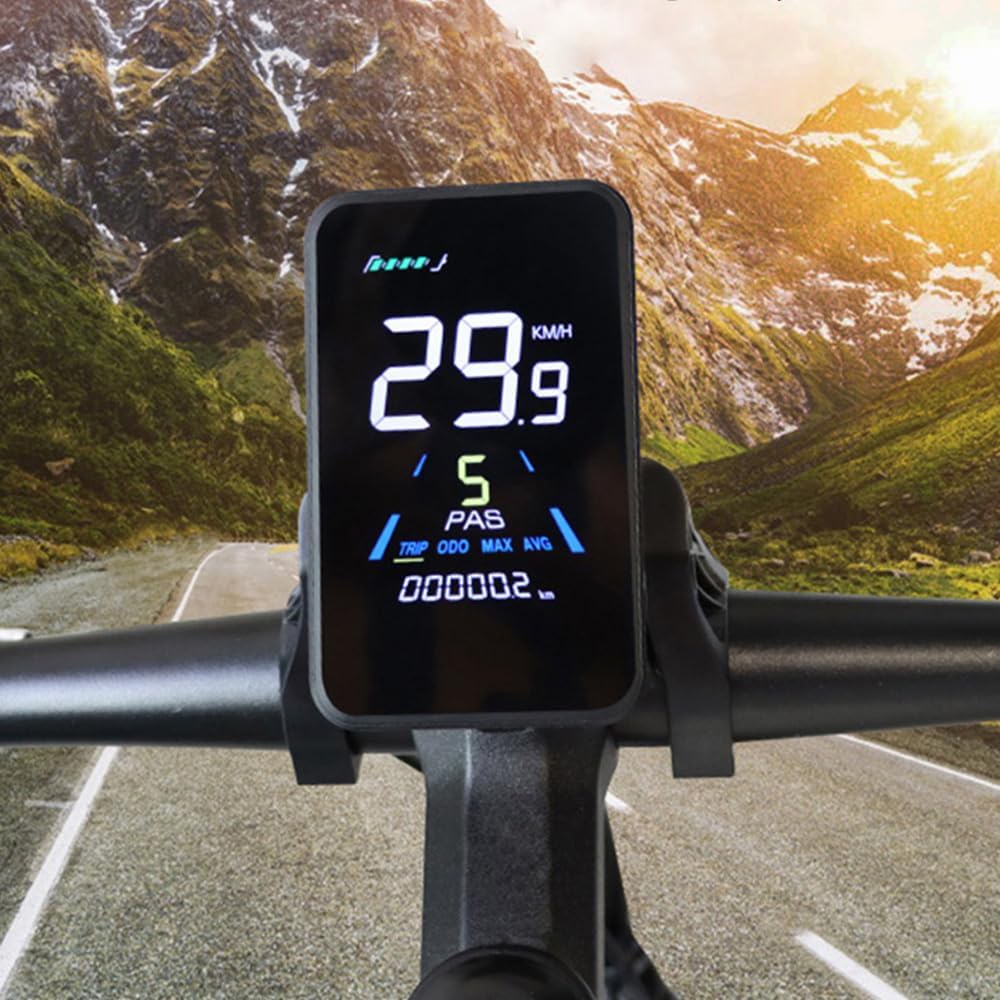 YL81F K5 display showing a clear, illuminated screen with speed and mileage data.