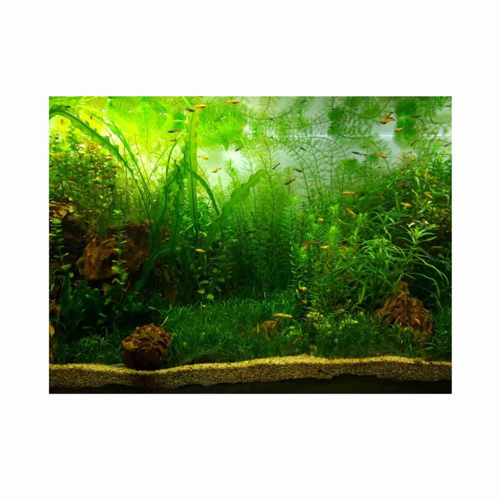 Poster di Sfondo per Acquario con Erba – Decorazione Adesiva in PVC Addensato per Pesci (ACOGEDOot9cfpg3mv-09)