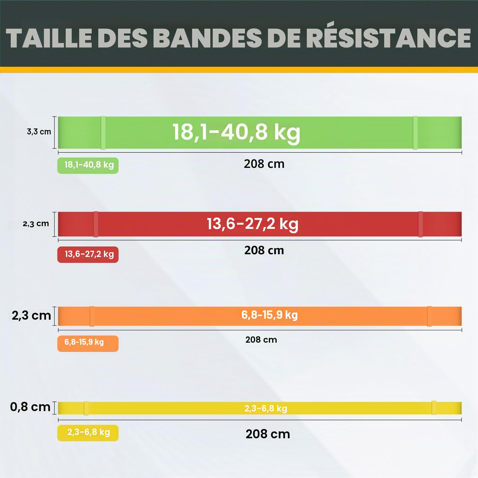 Lot de 5 Bandes de Résistance avec Ancrage de Porte pour Fitness, Yoga, Pilates, Musculation