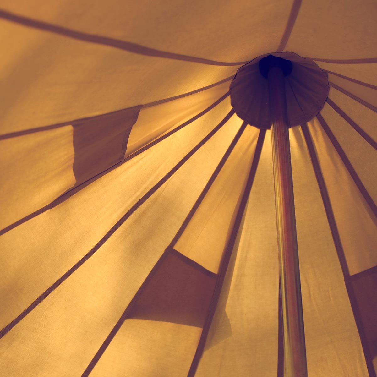 13' (4M) Fixed Floor with Extra Windows