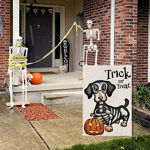 Decoración Exterior, Imagen adicional