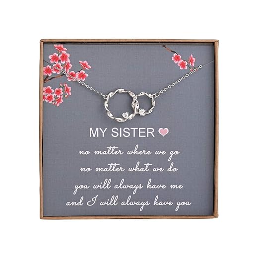 AnalysisyLove Sister Gifts from Sister, Sterling Silver Interlocking Infinity 2 Circles Necklace for Sisters, Big Sister Little Sister Gift, Birthday Jewelry Friendship Gifts
