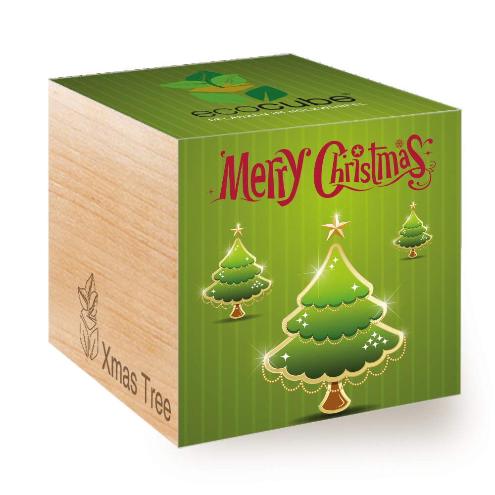 Feel Green Ecocube Merry Christmas/2G, Weihnachtsbaum, Nachhaltige Geschenkidee (100% Eco Friendly), Grow Your Own/Anzuchtset, Pflanzen Im Holzwürfel, Made in Austria