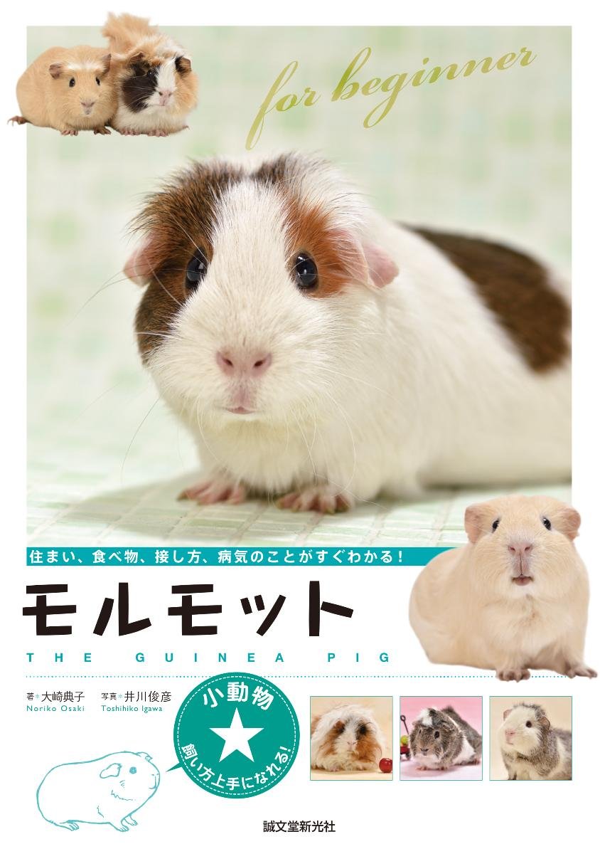 モルモット 住まい 食べ物 接し方 病気のことがすぐわかる 小動物 飼い方上手になれる 典子 大崎 俊彦 井川 本 通販 Amazon