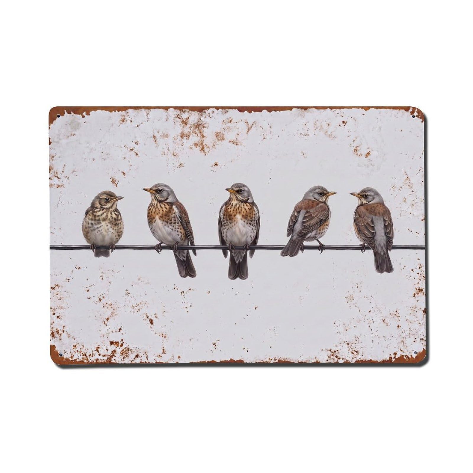 Vintage Retro Birds Fieldfare Metal Tin Sign
