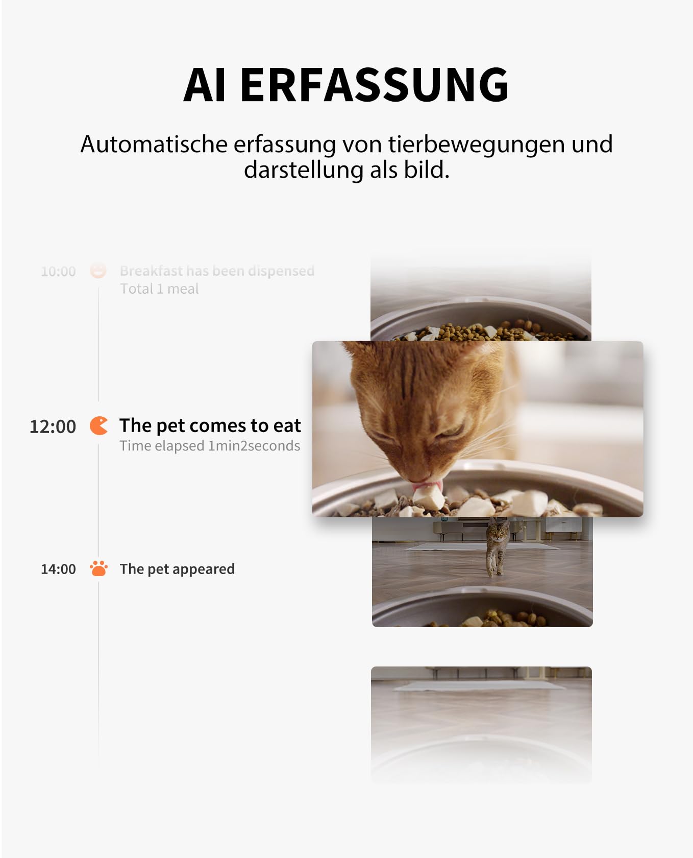 PETKIT Futterautomat Mit Kamera, KI Futterautomat Katze,3L Katzen Futterautomaten,Automatischer Futterspender für Katze und Hund,2.4G WiFi Intelligente App-Steuerung,1-5 Mahlzeiten