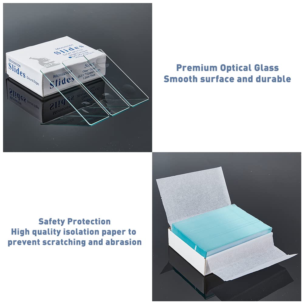 SUPERFINDINGS Vetrini per Microscopio da 20 Pezzo con Doppia Depressione Vetrino Doppio Concavo in Vetro da 76.5x25 mm Vetrini Coprioggetto Rettangolari Pre-Puliti per Forniture di Laboratorio