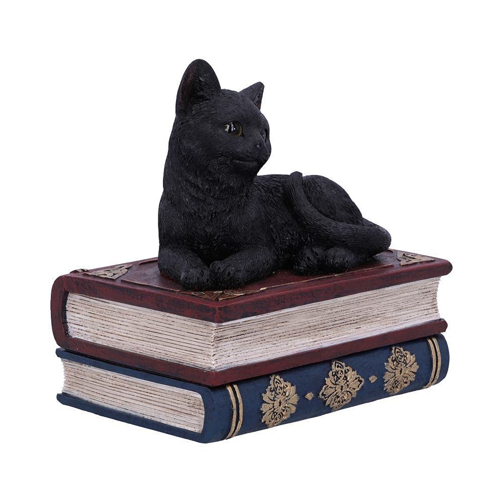 Nemesis Now Salems czarownice znane czarny kot i pudełko z księgą zaklęć, 11,7 cm