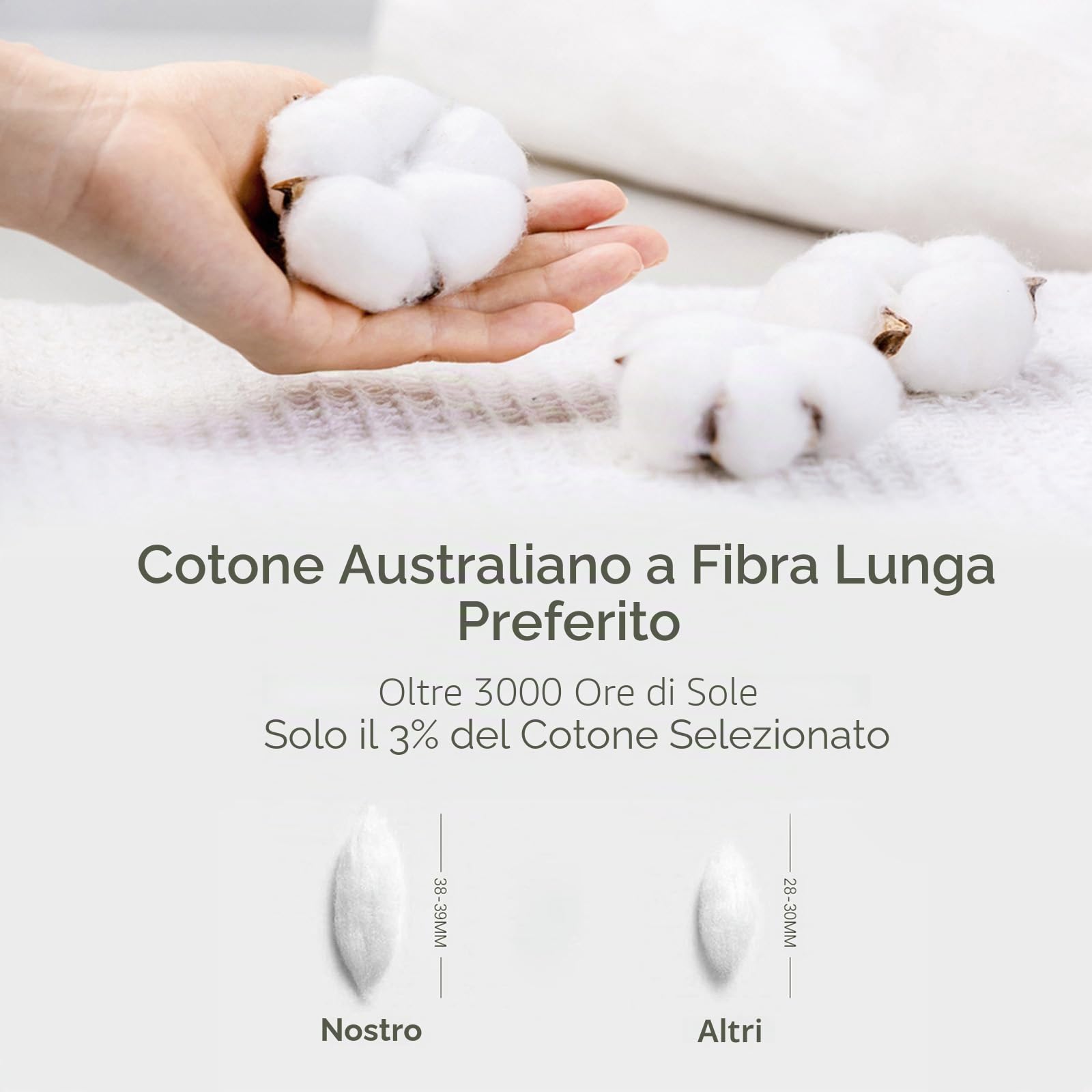 MILDLY Copripiumino, 240 x 260 cm, cotone, lavato, biancheria da letto, Öko-TEX, verde salvia, biancheria da letto 240 x 260 cm, cotone con cerniera con 2 federe, 65 x 65 cm