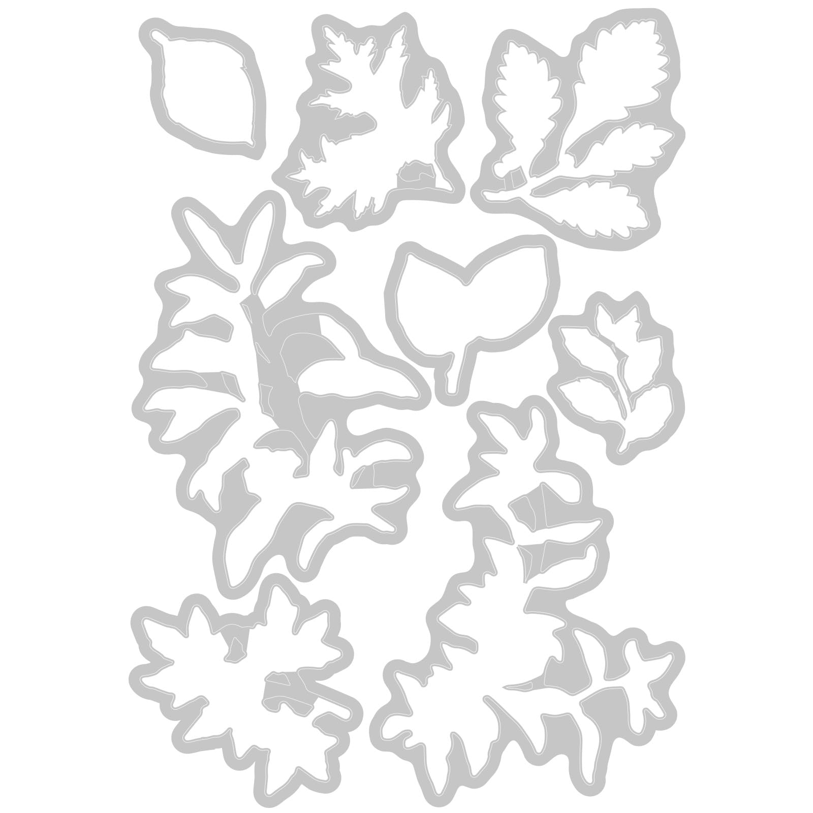 Sizzix A5 Clear Stamps w/Framelits Die Forever Leaves by 49 and Market, Clear/Silver - Image 2