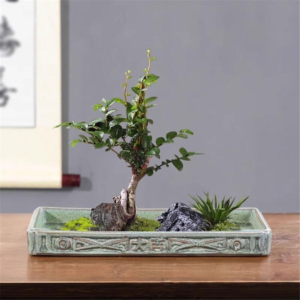 Versatile Vassoi sottovaso in Ceramica con piattino da Giardino for Piante rettangolari(Piccolo)