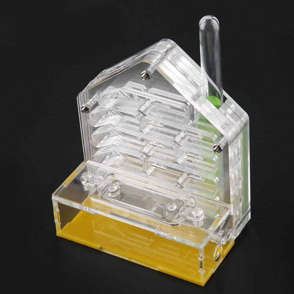 Nido Di Formiche In Acrilico - Fattoria Per Formiche Kit Didattico Bambini