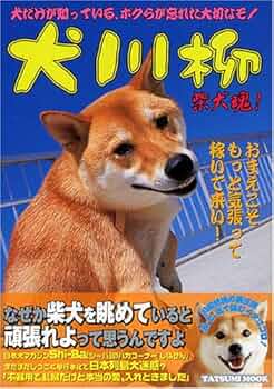 【しばいぬページ】 81V3LRy+A9L._UF350,350_QL50_.jpg