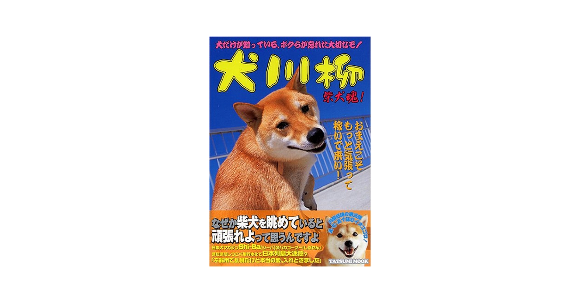 Amazon.co.jp: 犬川柳 柴犬魂! : シーバ編集部: 本