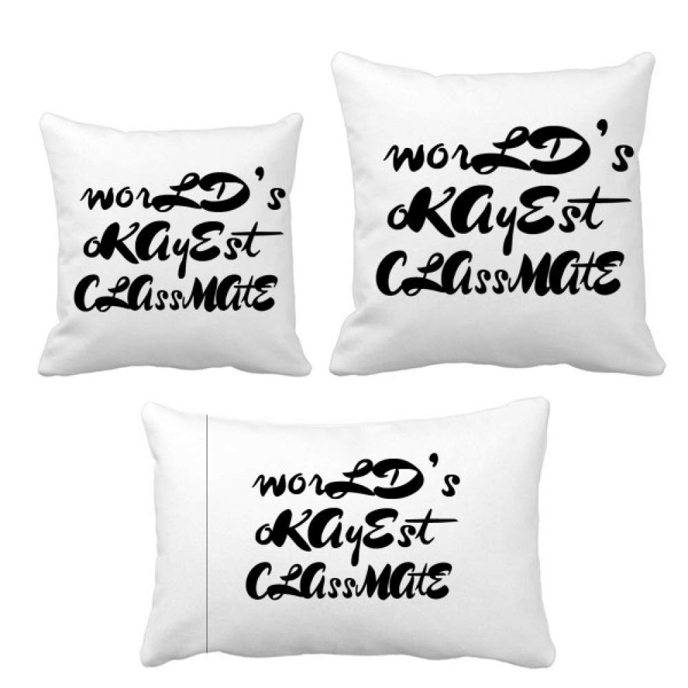 Housse de coussin humour cadeau idéal pour un ancien camarade de classe