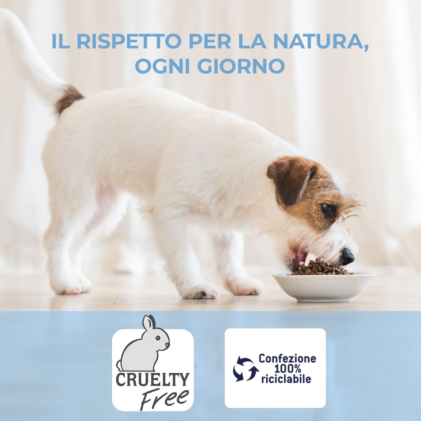 ADoC Day by Day - Cibo umido per Cani Adulti - Paté Monoprotein con Maiale - 16 Vaschette da 100gr