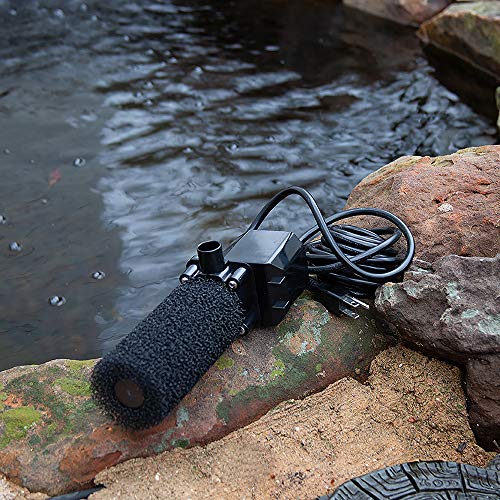 Beckett Corporation Dp800W Submersible Pond And Waterfall Filters Pump, 800 Gallons Per Hour, Black #TOP3