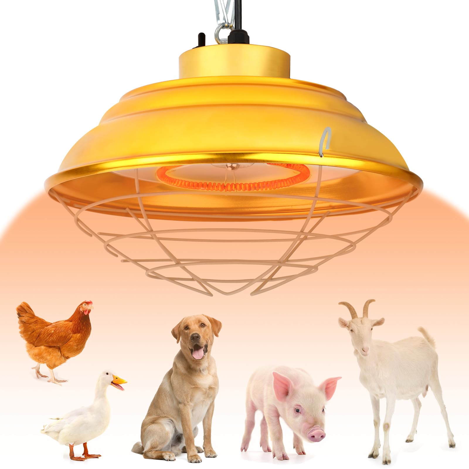 Lampe chauffante pour poules dans un poulailler d'extérieur protégé contre l'humidité