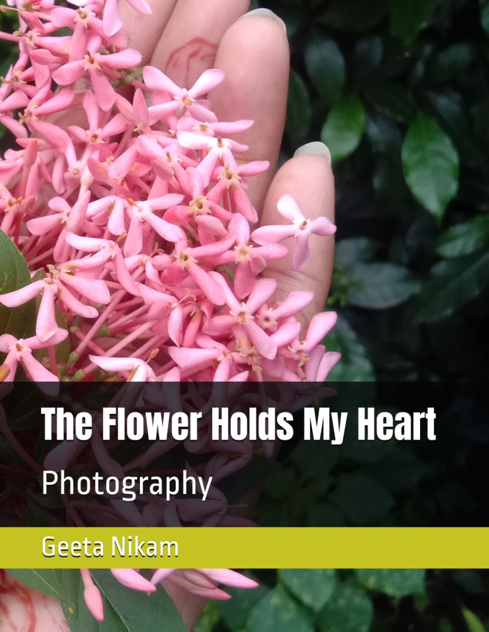 The Flower Holds My Heart: Photography