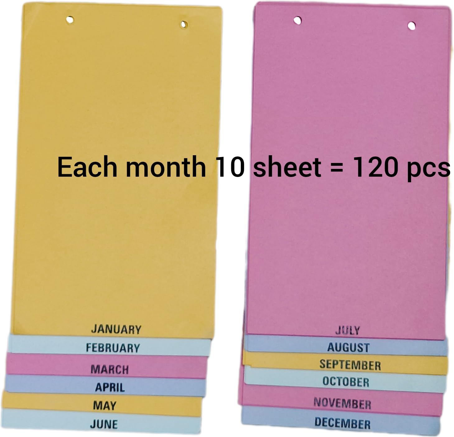 Hope kart File Divider Sheets Organizer for File Separator Inserts with Months Printed, Multicolor, A5 Size, 23 L X 14 W cms, (12x10) 120 pcs 2