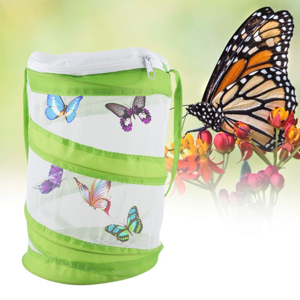 Plus beaux papillons - Boutique Papillon