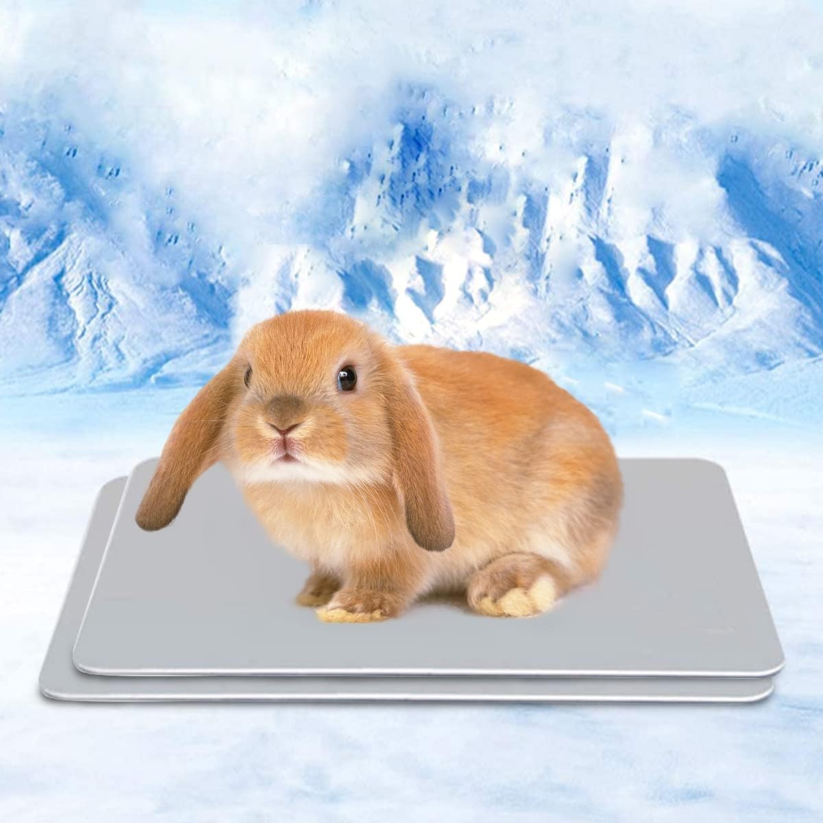 HZxoAxo 2PCS Rabbit Cooling Pad 11.8 x 7.9 in,Self Cool